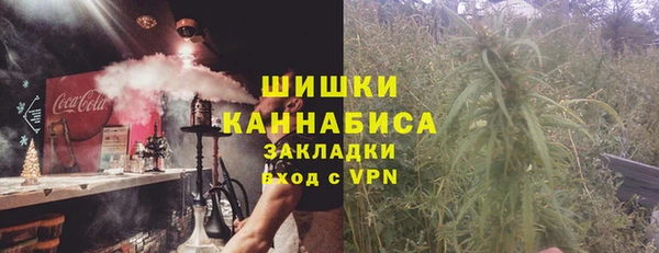 сатива Алексин