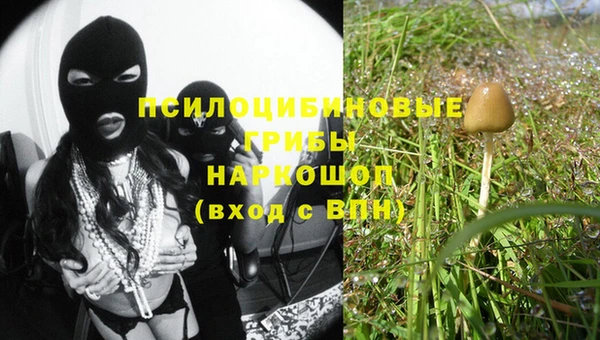 мяу мяу мука Алексеевка
