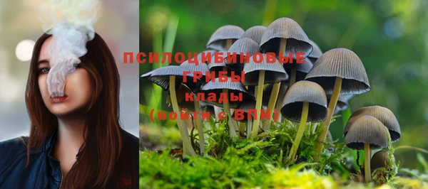 сатива Алексин